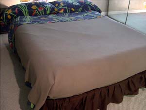 PC Clone computer and IDS color printer, 1983